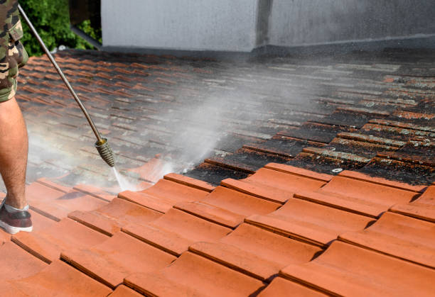 Deck Cleaning Services in Webster, FL