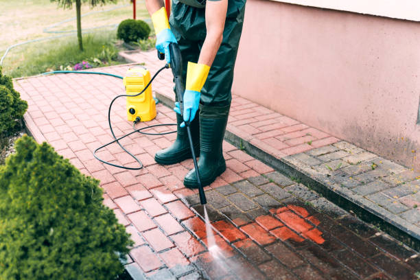 Best Local Pressure Washing Services  in Webster, FL