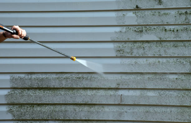 Best Exterior Home Cleaning  in Webster, FL
