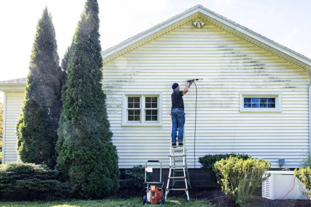 Best Residential Pressure Washing Services  in Webster, FL