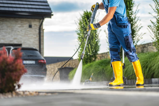 Best Affordable Power Washing  in Webster, FL
