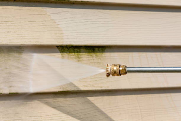 Professional Pressure Washing in Webster, FL