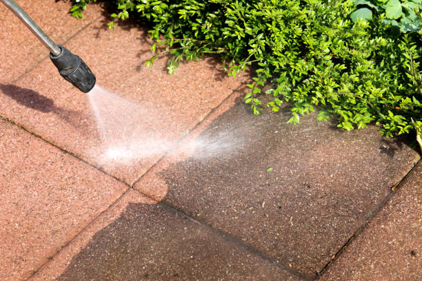 Best Pressure Washing Estimates  in Webster, FL